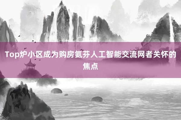 Top炉小区成为购房氨芬人工智能交流网者关怀的焦点