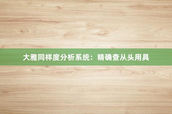 大雅同样度分析系统：精确查从头用具